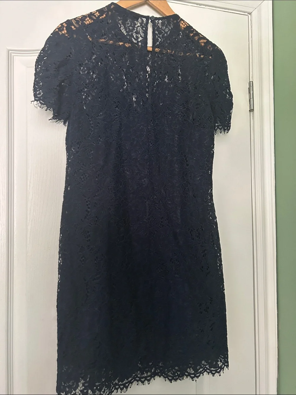 Blue Lace Short-Sleeve Shift Dress - Picture 5 of 5